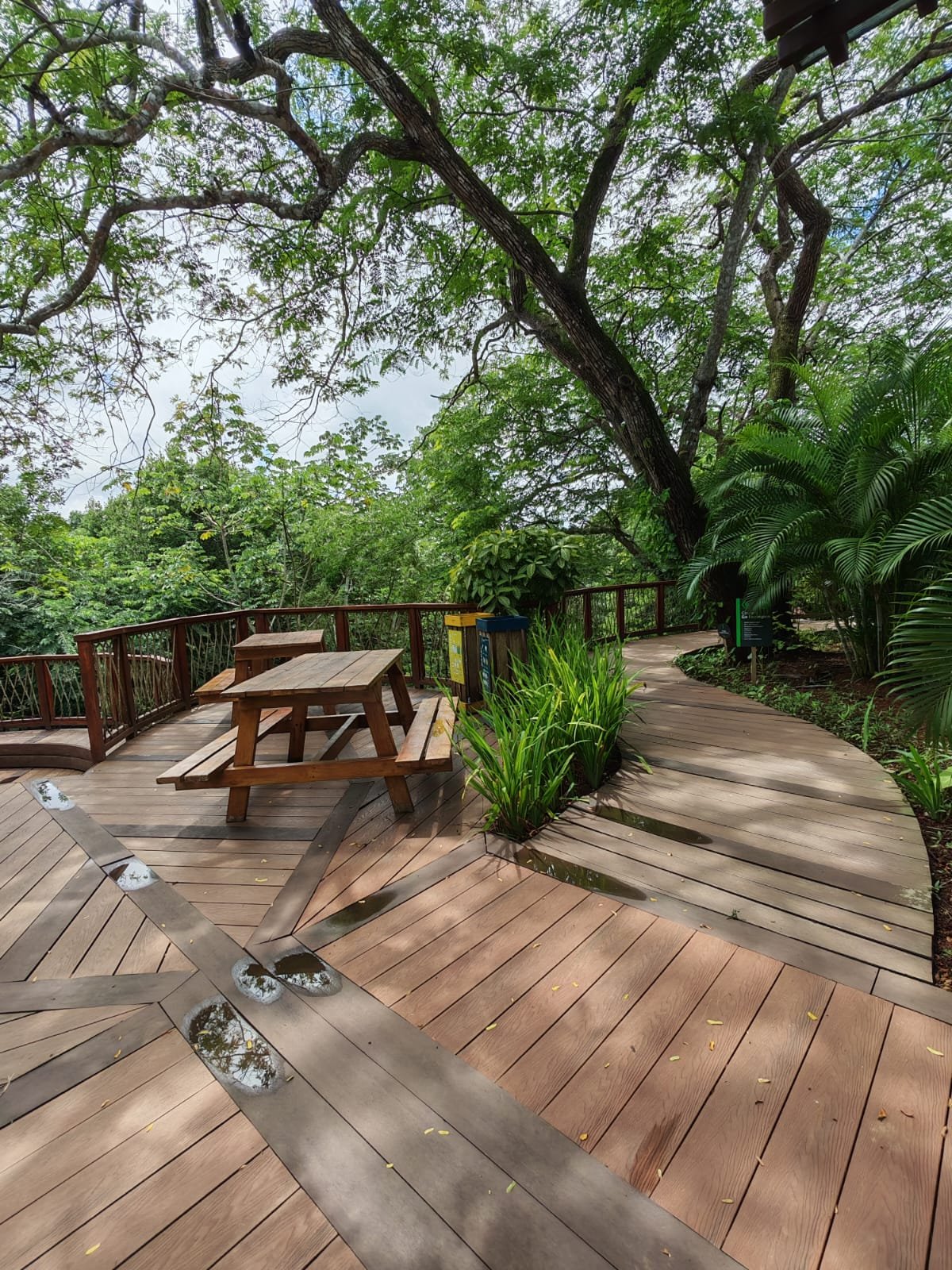 PANORAMA 360