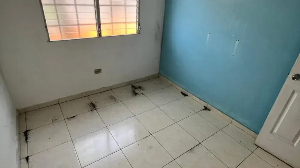 Quintas del Pacífico