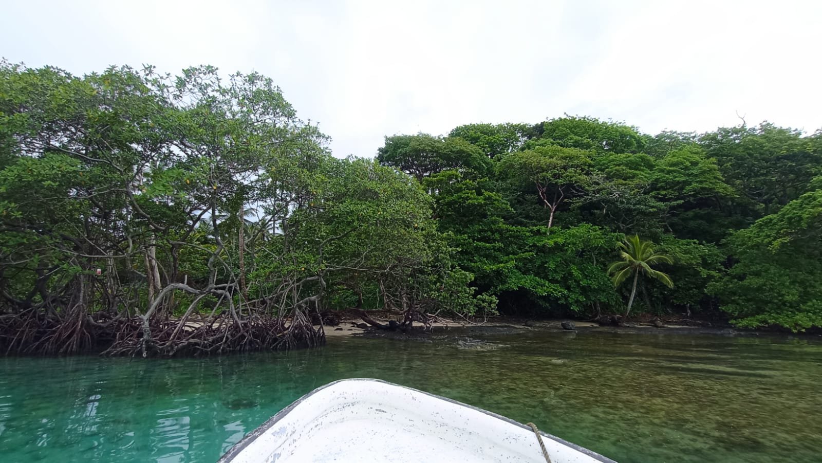 ISLA EN COLON, el Caribe