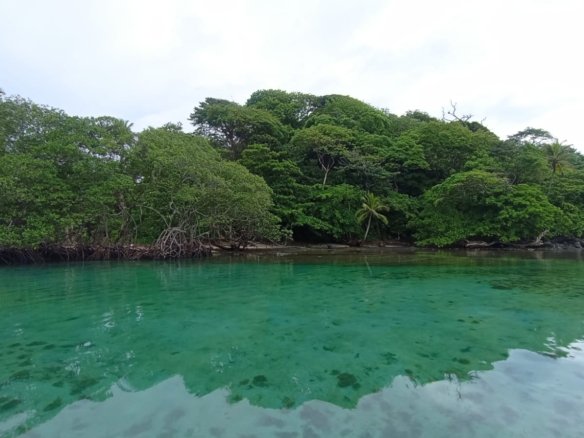 ISLA EN COLON, el Caribe