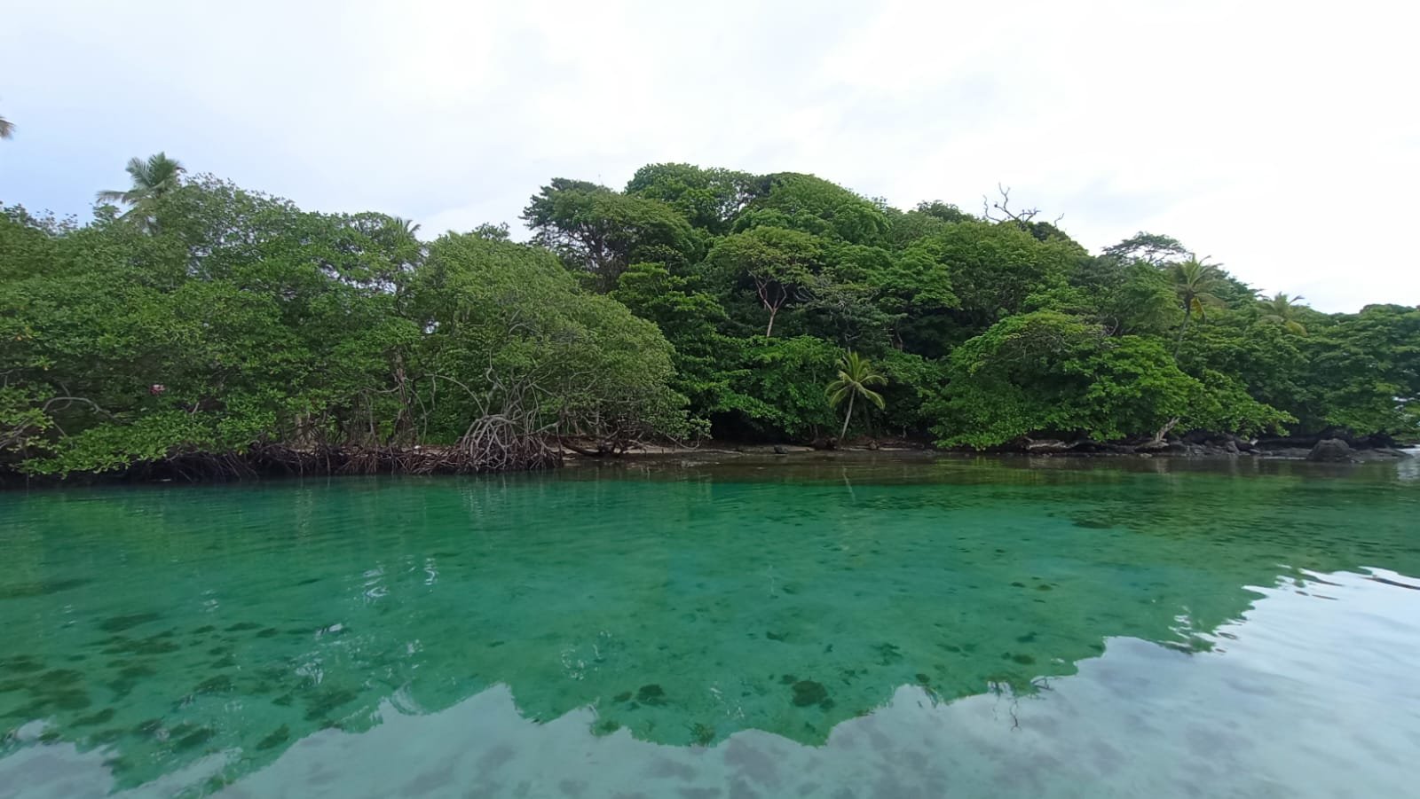 ISLA EN COLON, el Caribe