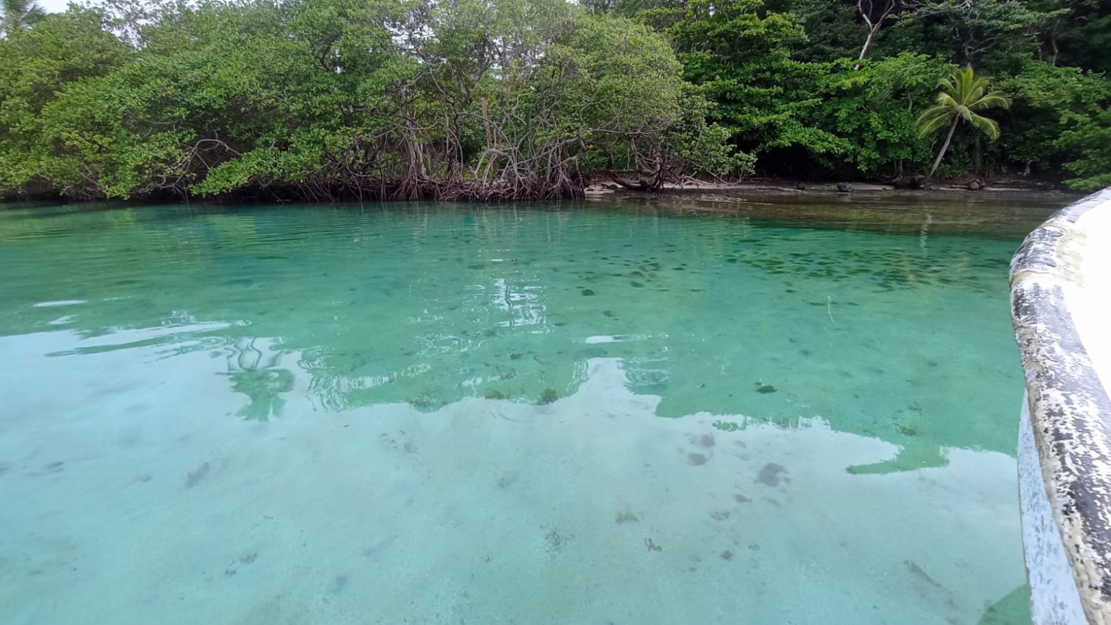 ISLA EN COLON, el Caribe