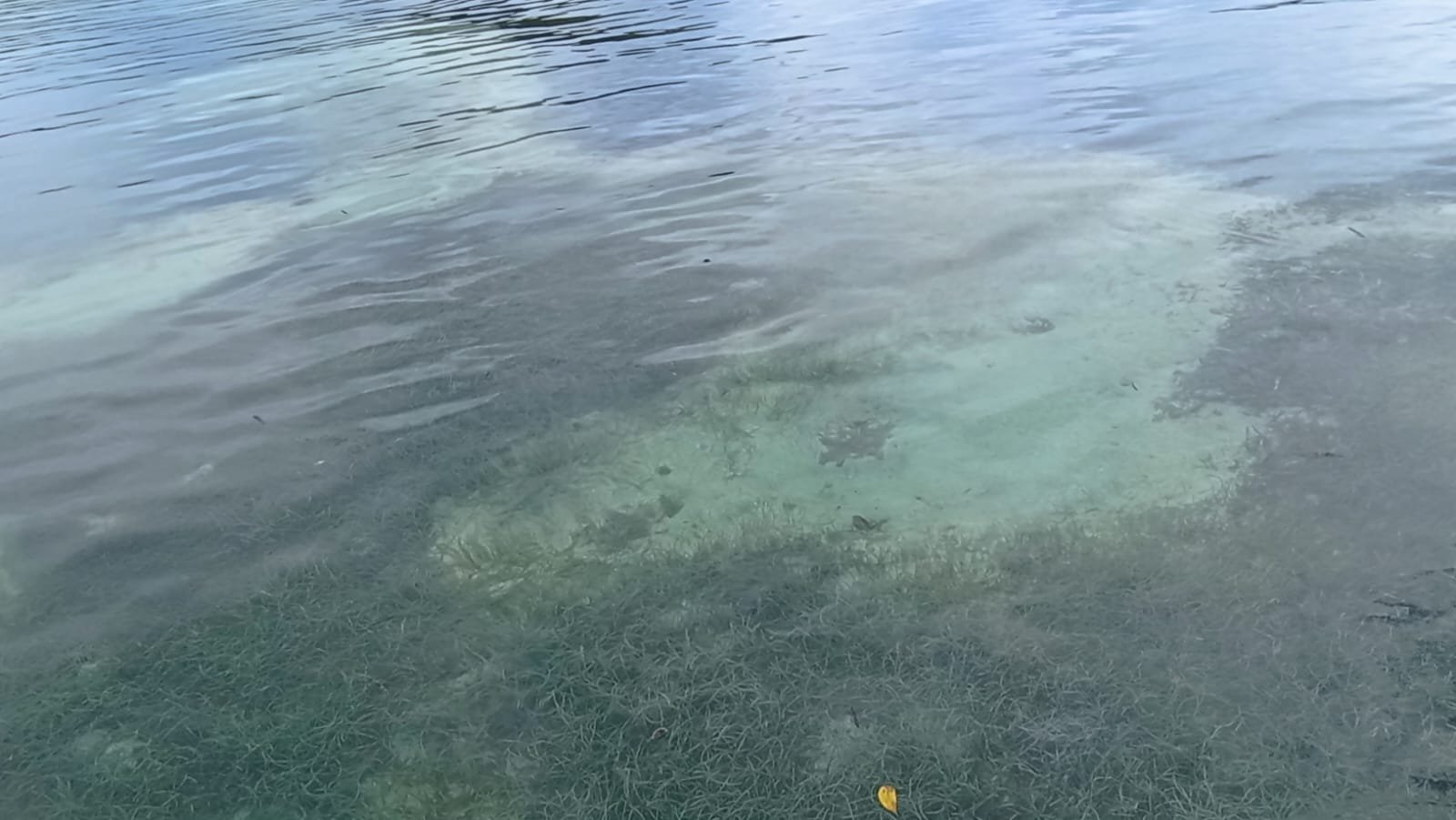 ISLA EN COLON, el Caribe