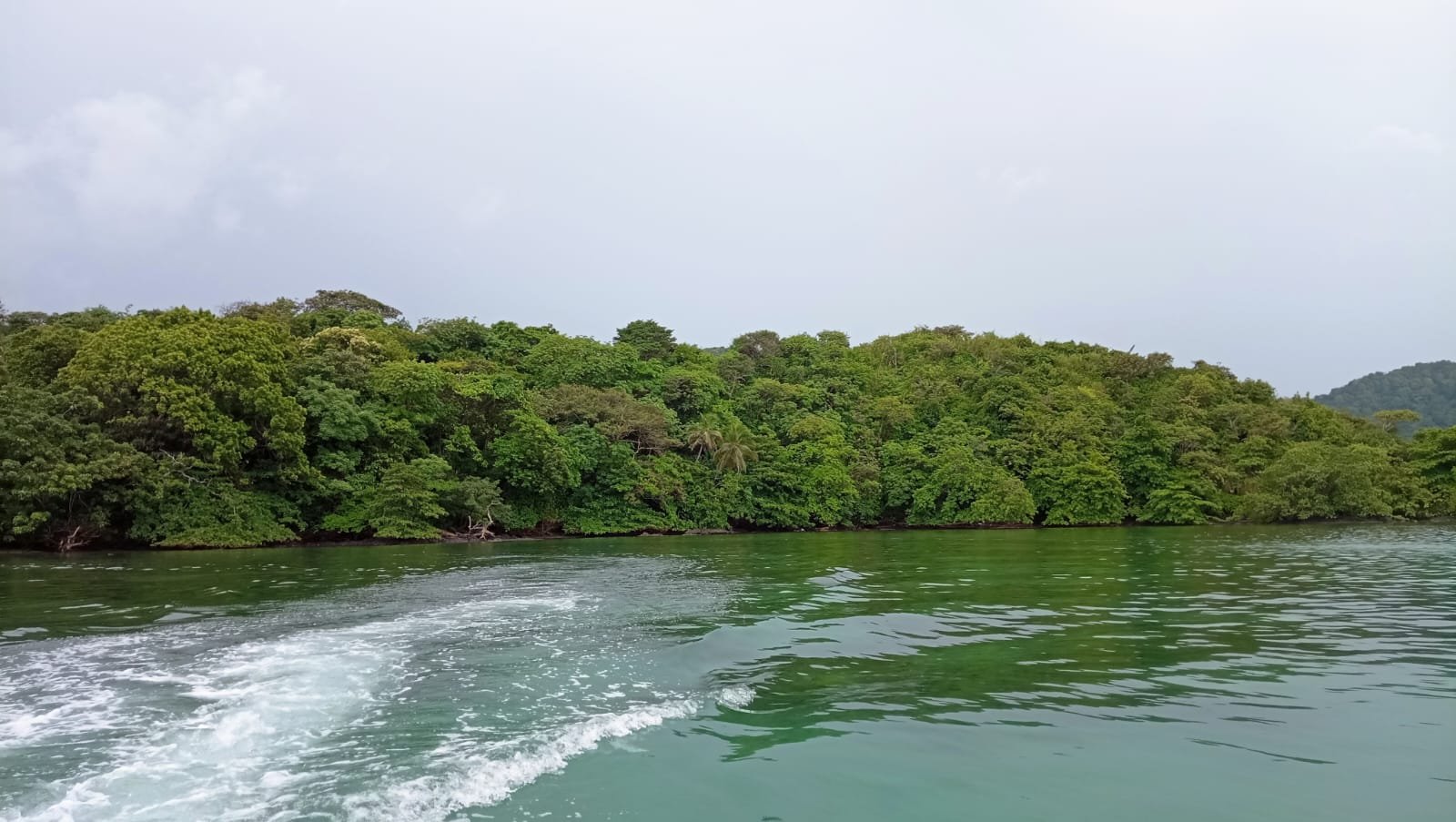 ISLA EN COLON, el Caribe