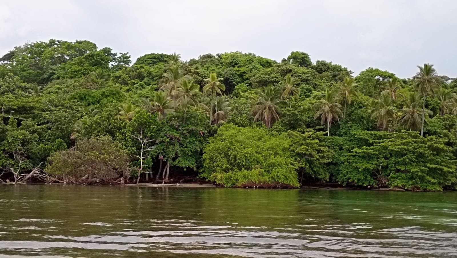 ISLA EN COLON, el Caribe
