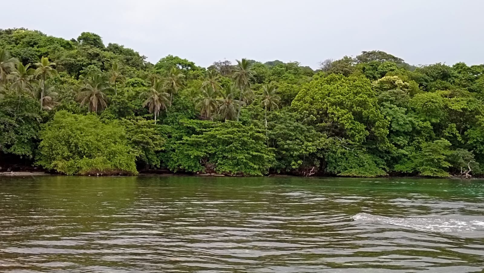 ISLA EN COLON, el Caribe