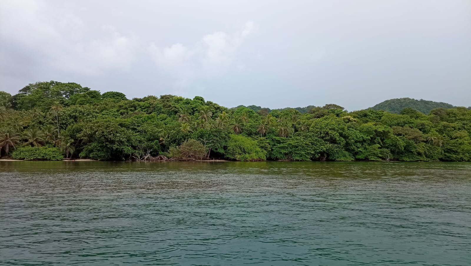 ISLA EN COLON, el Caribe