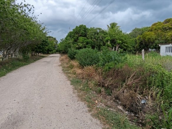 TERRENO VIA EL COPÉ, en La Pintada, Coclé